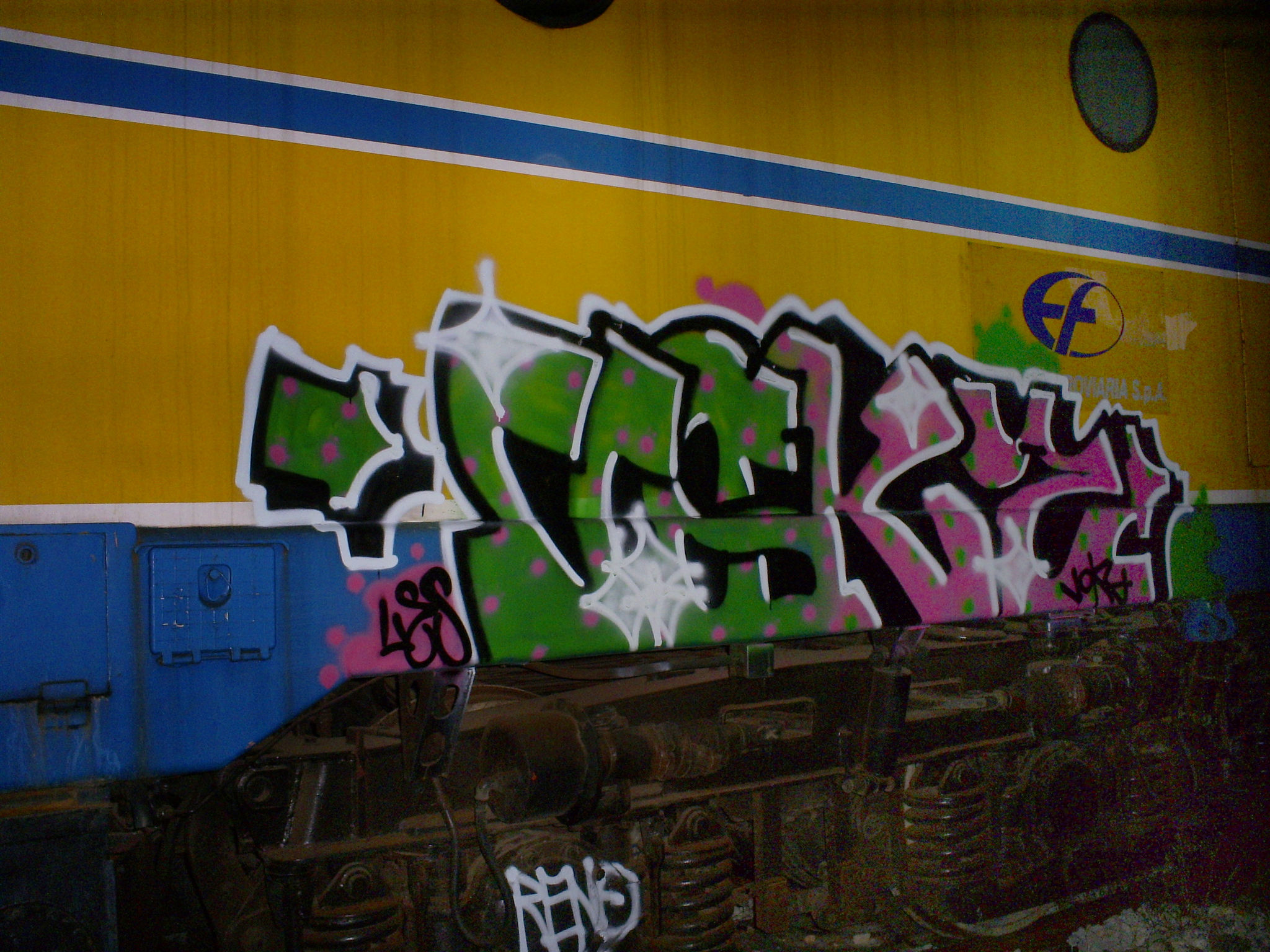 RENO: HAPPY COLOR SARATOGA